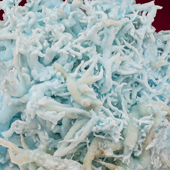 Flos Ferri-Steirischer Erzberg | Eisenerz | Leoben | Styria | Austria